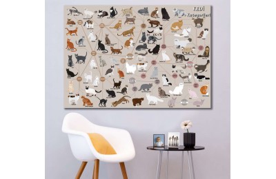 srvt3 - Kedi Cinsleri, Kedi Türleri, Pet Shop, Veteriner Kliniği Kanvas Tablo