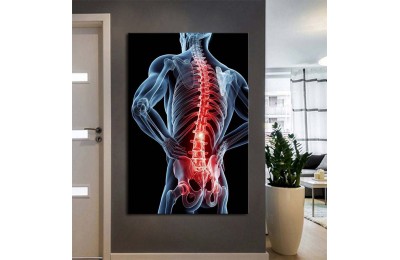 Poliklinik Klinik Hastane Dekorasyonu Medikal Hastane Tablosu hst164