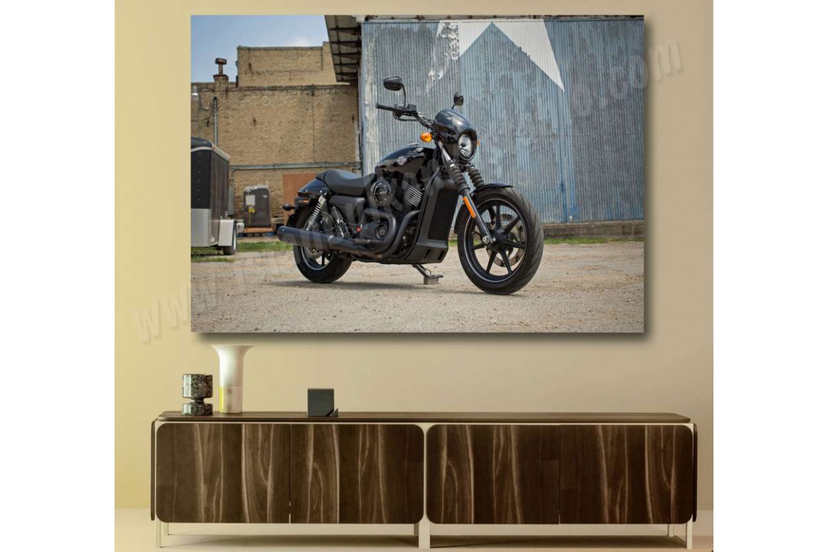 sm17 - Harley Davidson Street Motosiklet Kanvas Tablo
