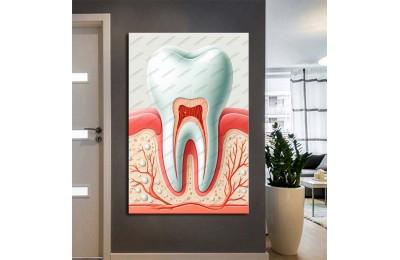 Ağız ve Diş Sağlığı Polikliniği Tabloları Dekoratif Diş, Dekoratif Dişçi, Dişçi Dekorasyonu dsc554