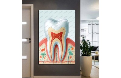 Ağız ve Diş Sağlığı Polikliniği Tabloları Dekoratif Diş, Dekoratif Dişçi, Dişçi Dekorasyonu dsc566