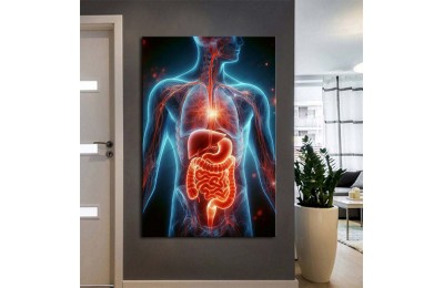 Poliklinik Klinik Hastane Dekorasyonu Medikal Hastane Tabloları hst206