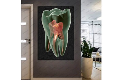 Ağız ve Diş Sağlığı Polikliniği Tabloları Dekoratif Diş, Dekoratif Dişçi, Dişçi Dekorasyonu dsc-139