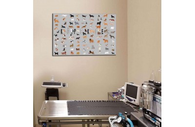 Veteriner Tabloları, Pet Center, Evcil Dostlarımız Kedi ve Köpek Tabloları vtr19