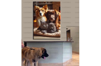 Pet Center Dekorasyon Veteriner Kliniği Tabloları vtr25