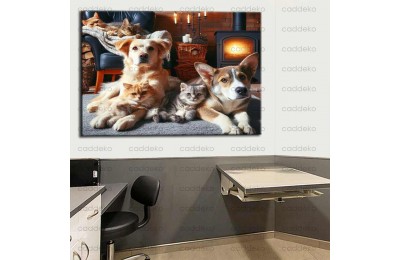 Pet Center Dekorasyon Veteriner Kliniği Tabloları vtr26