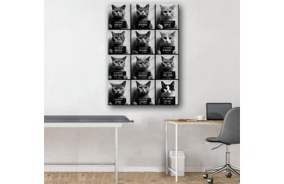 Pet Center Dekorasyon Veteriner Kliniği Tabloları Kediler vtr36
