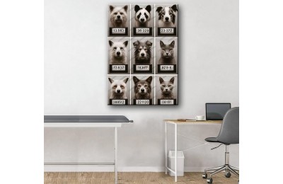 Pet Center Dekorasyon Veteriner Kliniği Tabloları Kediler ve Köpekler vtr41