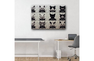 Pet Center Dekorasyon Veteriner Kliniği Tabloları Kediler vtr43